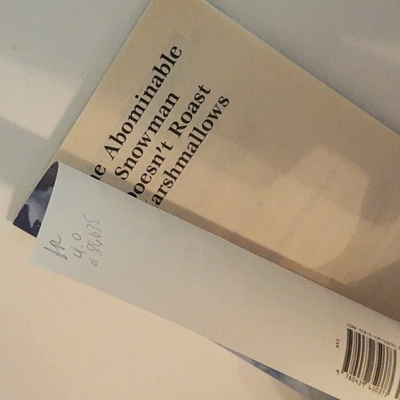 Juvenile Fiction Mystery Chapter Books 8 Book Bundle Grades 2-4 - Picture 11 of 15